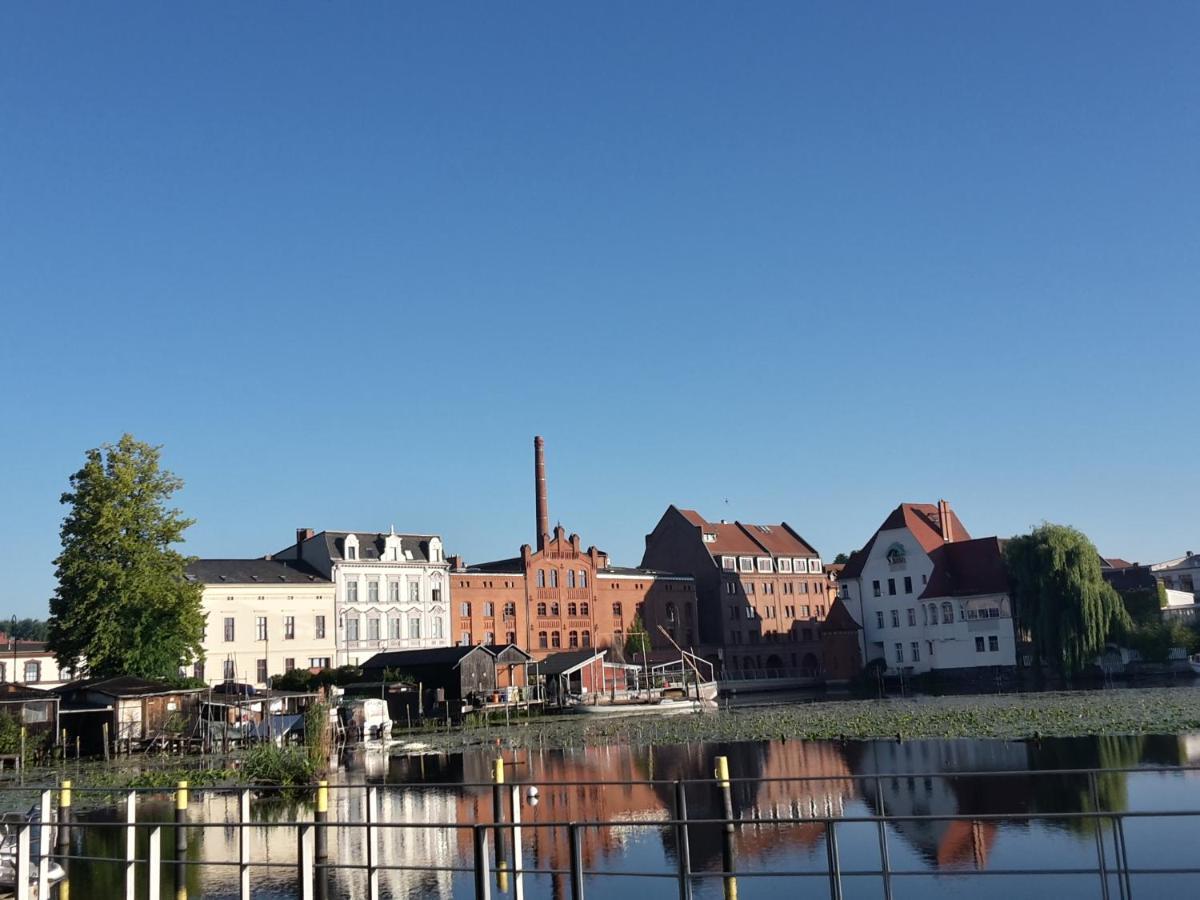 Omas Linde * Brandenburg an der Havel